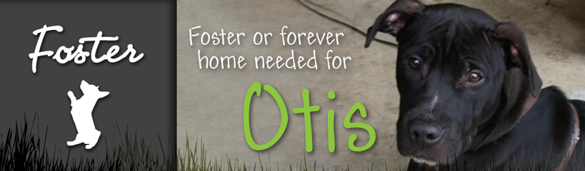 WH_slider-foster-Otis