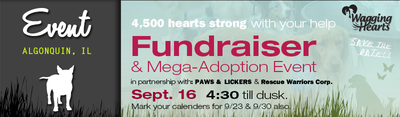 Fundraiser & Adoption Event at Port Edwards, Algonquin, IL